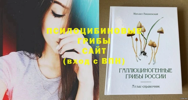 крисы Бородино