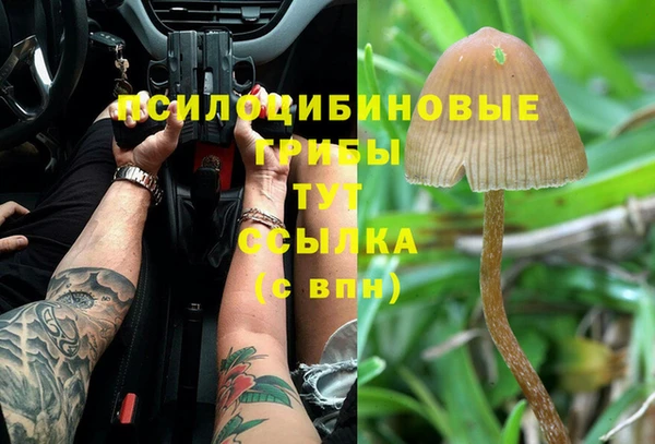 дурь Вязьма