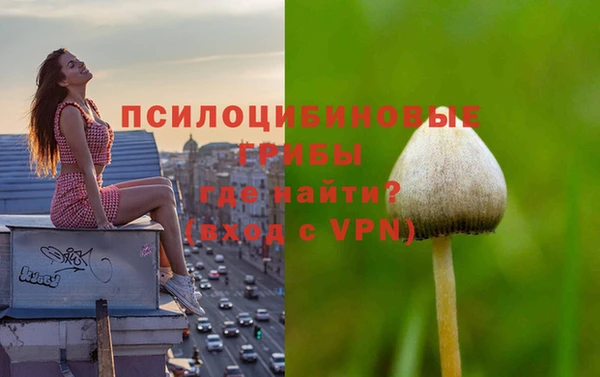 альфа пвп Вяземский