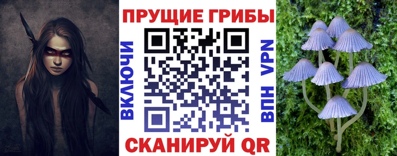 где купить наркоту  даркнет Telegram  Псилоцибиновые грибы прущие грибы  Гусиноозёрск 