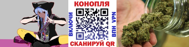 Шишки марихуана OG Kush Гусиноозёрск